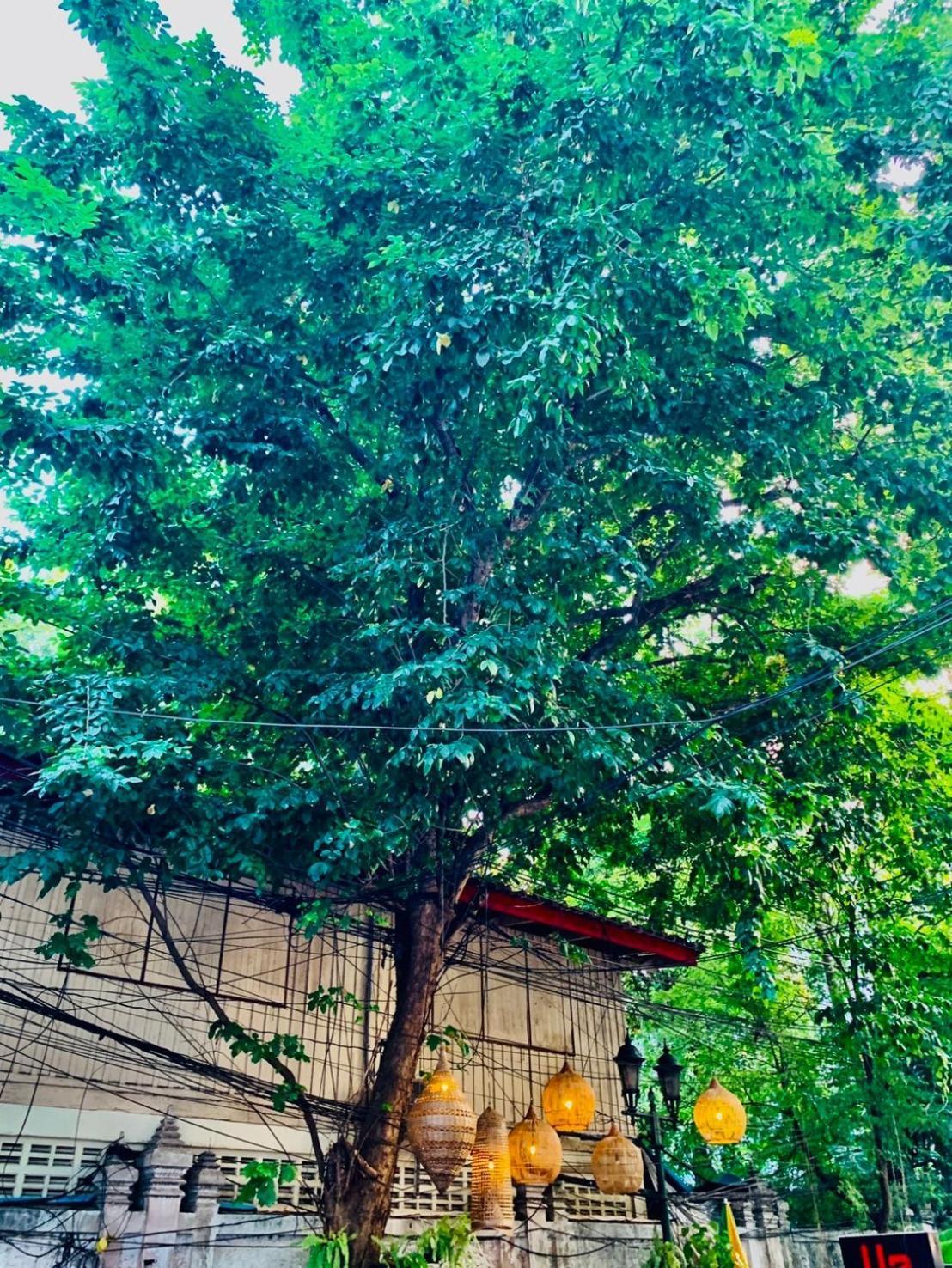 Easy Sunday Khaosan Bangkok Ξενοδοχείο Εξωτερικό φωτογραφία